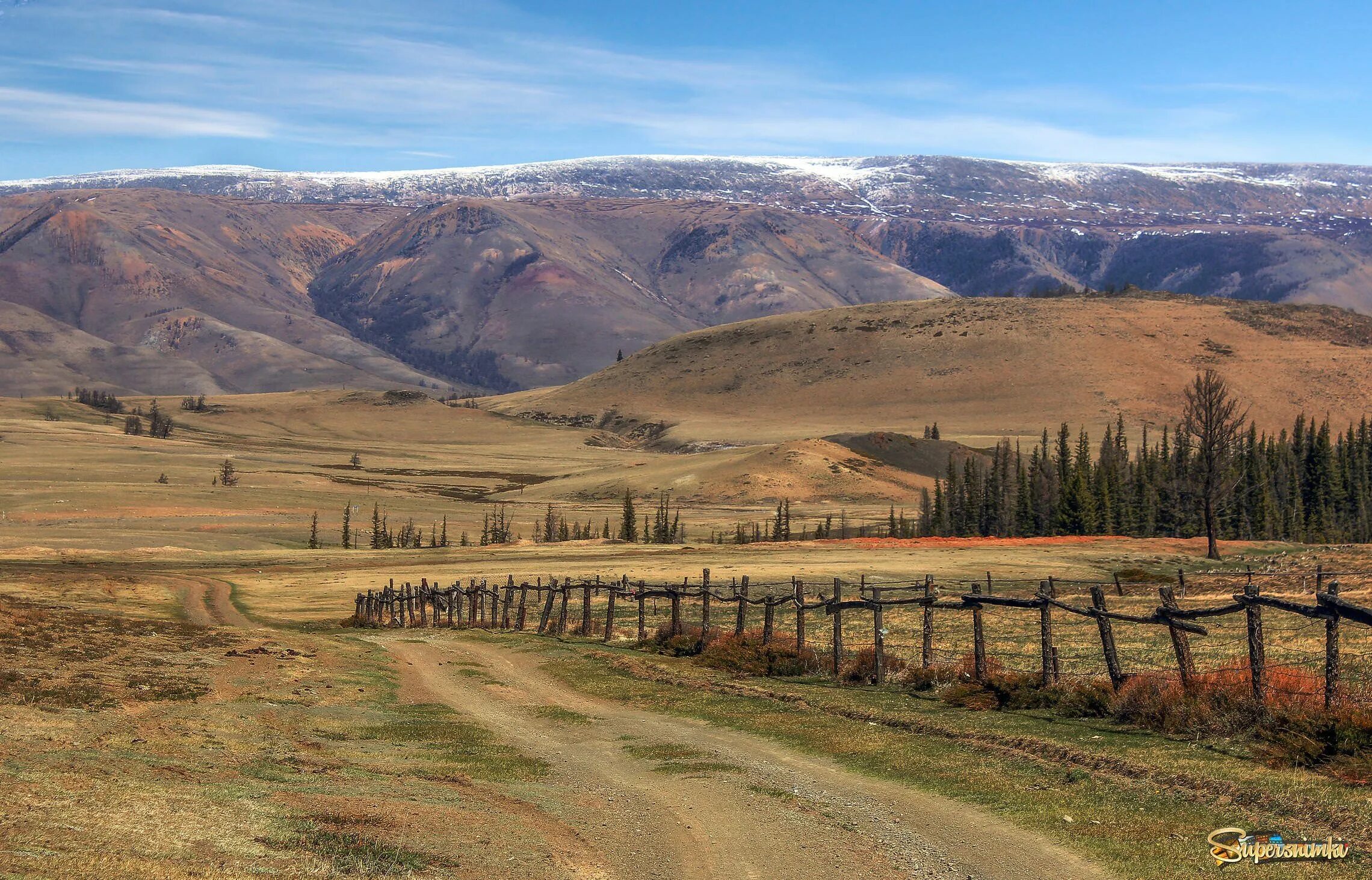 Курай Алтай. Село курай Красноярский край. Курай Гафурийский район.