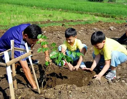 Planting sites