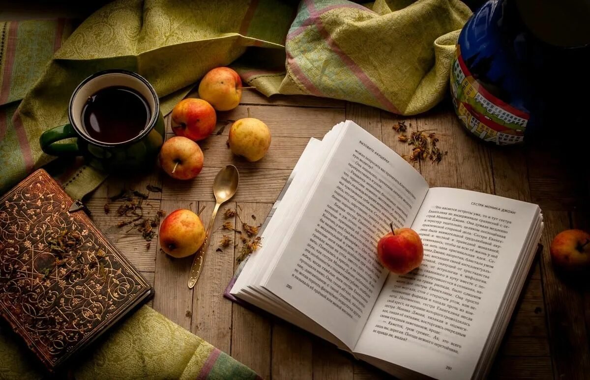 Книги осенью. Осень интересные книги. Осень интересные книги. С книжкой на скамейке. Литературная осень.