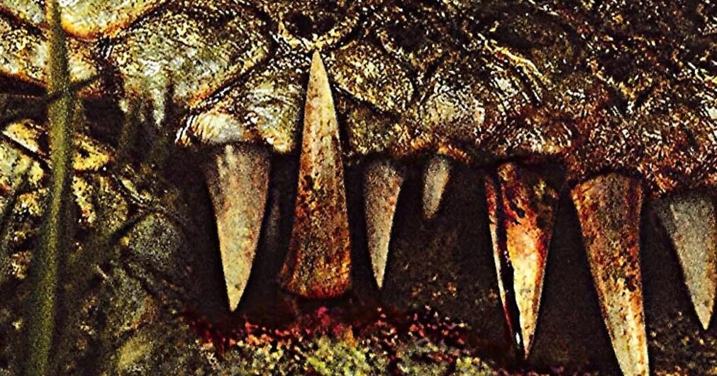 Клип на фильм ярость. Первобытное зло фильм 2007. Первобытное зло фильм 2007 крокодил. Первобытная ярость: легенда о-ма (2018). Первобытное зло фильм 2007 крокодил.