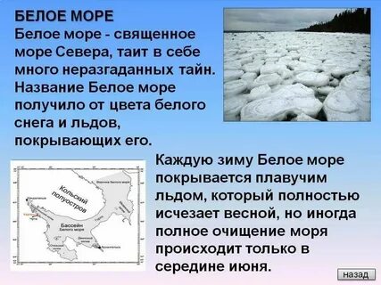 Какой размер белого моря
