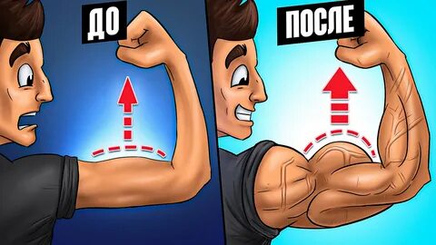 Симулятор бицепса коды