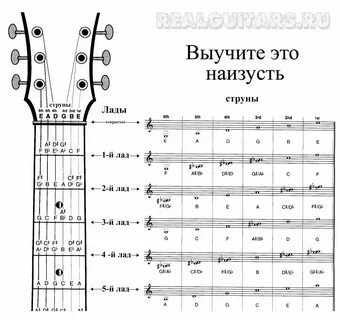 гитара ноты/гаммы에 있는 핀