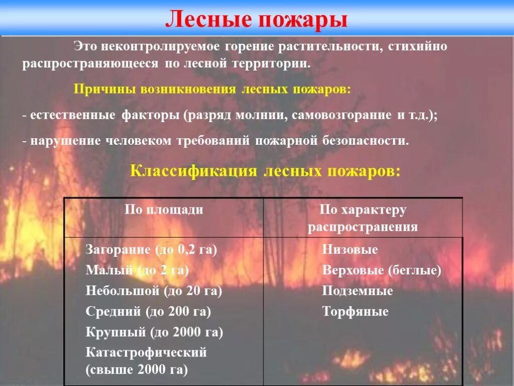 Естественные факторы возгорания лесных пожаров. Причины возникновения лесных пожаров. Причины возникновения природных пожаров. Причины возникновения лесных пожа