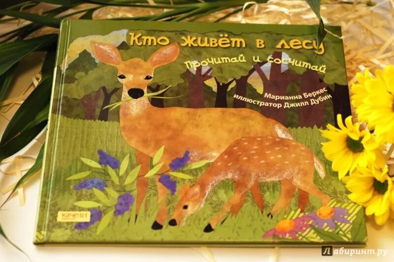 такс форест сан. юрий дмитриев книги о природе для детей. ю дмитриев кто в лесу живет и что в лесу растет читать. At last she came the forest she saw a little. дмитриев, юрий дмитриевич кто в лесу живёт и что в лесу растёт / ю.