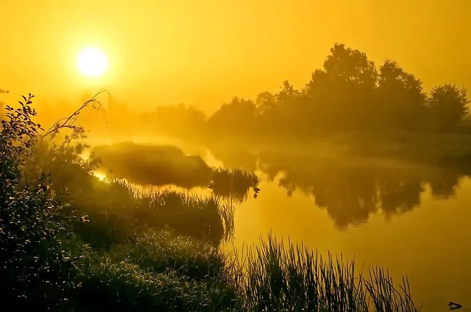 Утром проснусь на рассвете. Утро природа. Природа вечер. Летний рассвет. Утренний рассвет.