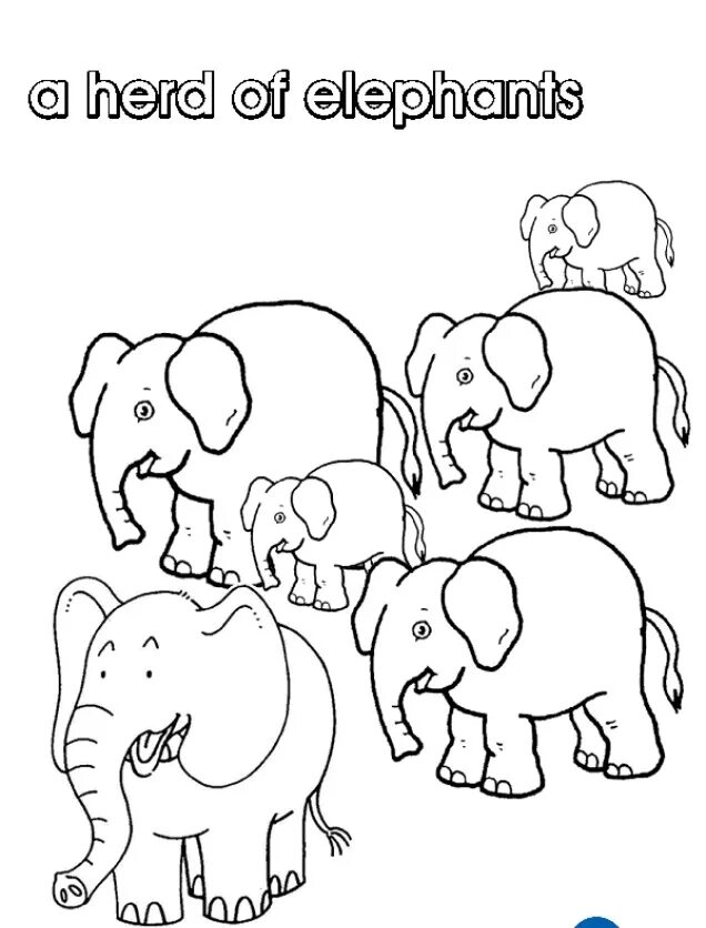 Стадо слонов. Стадо слонов раскраска. Раскраска стая слонов. Стадо слонов рисунок.