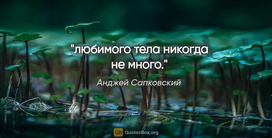 Пословица ищущий всегда найдет. Свинья везде грязь найдет анекдот. Свинья всегда грязь найдет. Свинья везде грязь найдет пословица. Свинья всегда грязь найдет пословица.