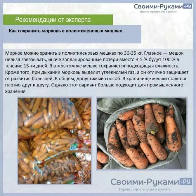 Морковь срок хранения в холодильнике. Хранение моркови в полиэтиленовых мешках. хранение моркови в полиэтиленовых мешках в погребе. способы хранения моркови. хранение моркови на зиму.