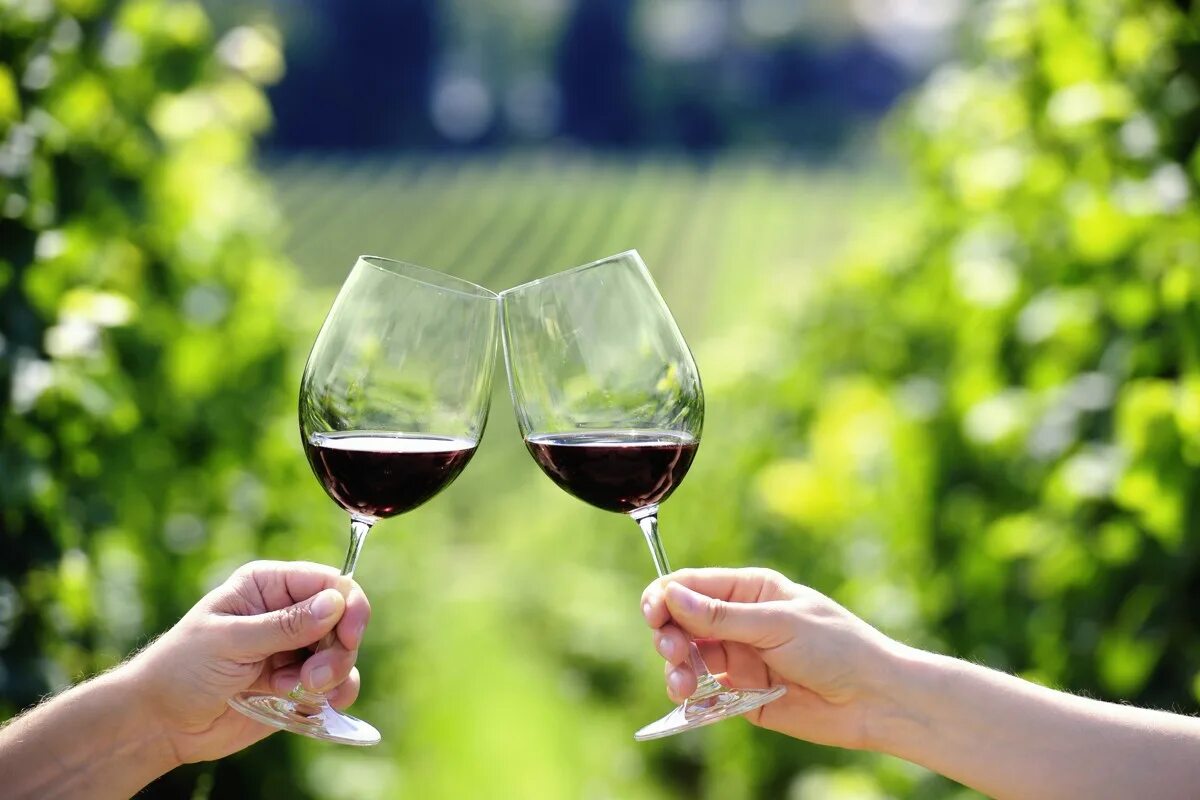 Два бокала вина. Чокаются бокалами. Два бокала с вином. Фужер вина на природе. Вине гуд