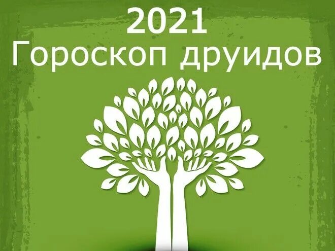 гороскоп друидов. - Самое интересное в блогах