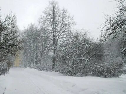 Завируха метель завируха