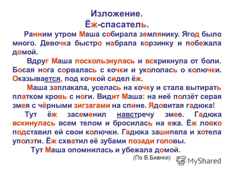 Еж спасатель