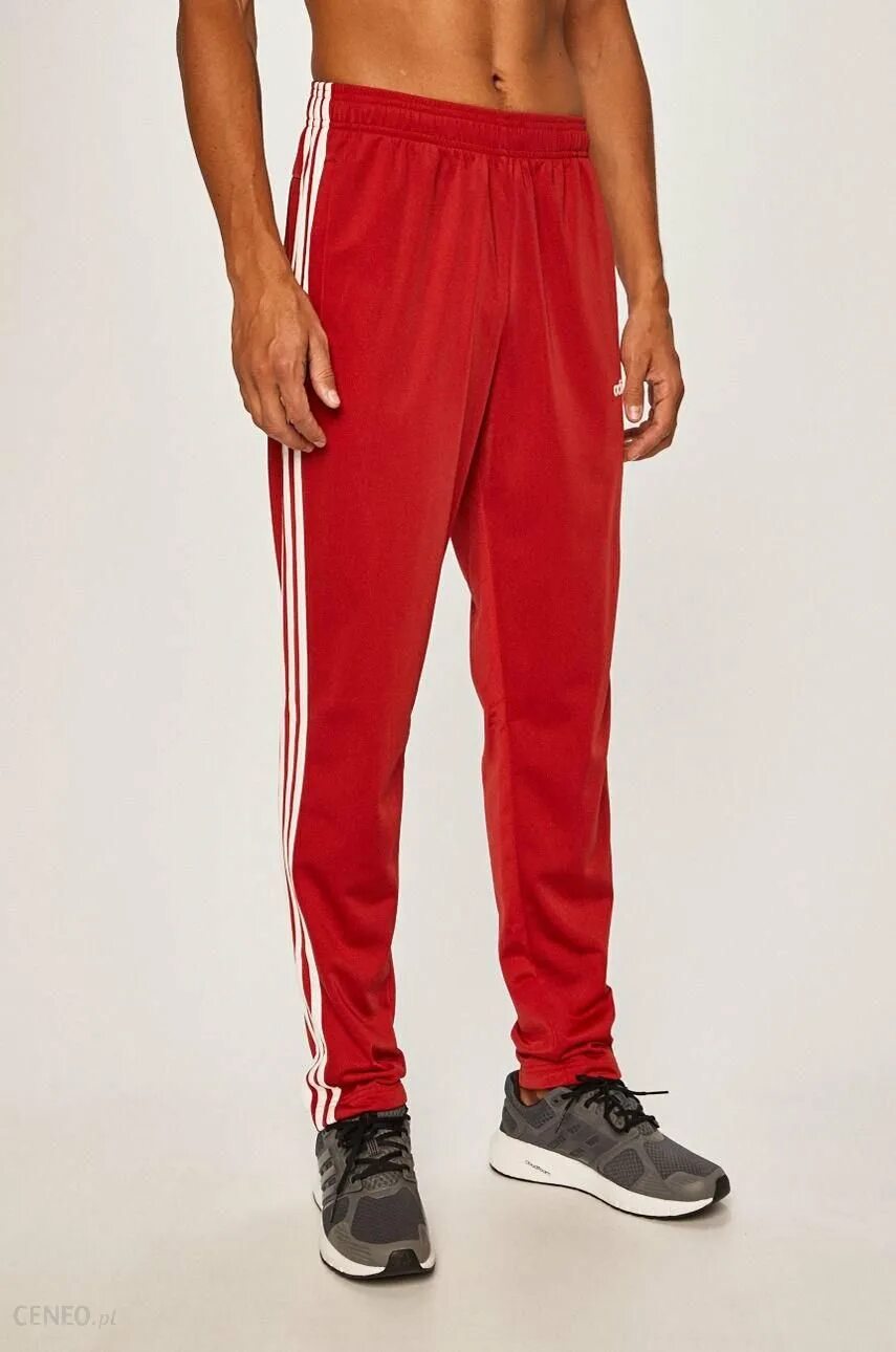 Штаны адидас красные fl4685. Adidas Originals Red штаны. Брюки адидас красные Equipment. Gt8799 adidas брюки.