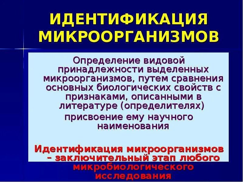 Свойства идентификации бактерий. Идентификация микроорганизмов. Принципы идентификации микроорганизмов.. Идентификация это микробиология. Методы идентификации бактерий.