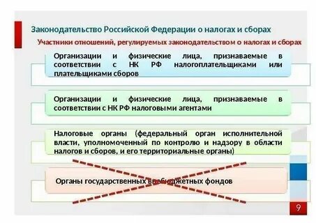 Контроль и надзор в сфере налогов