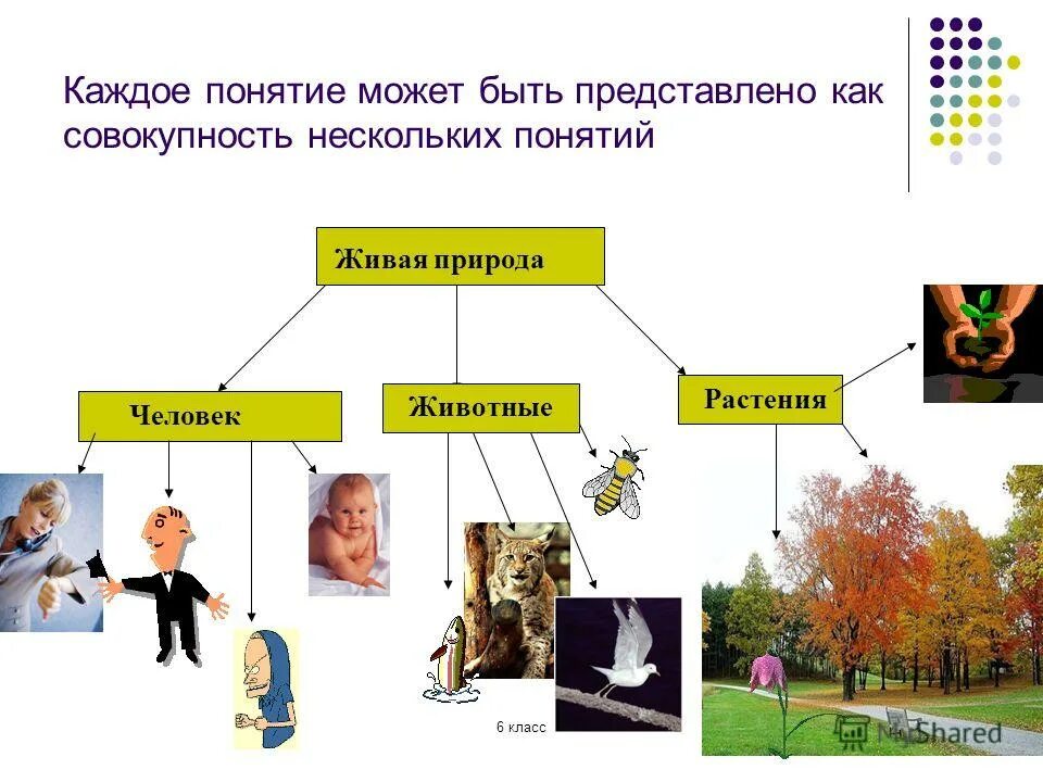 Экосистема. Дайте определение понятия живая природа. Живая и недива яприрода. Дайте определение понятия живая природа. Дайте определение понятия живая природа.