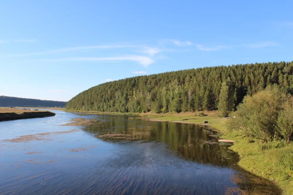 Кедры на сылве пермь