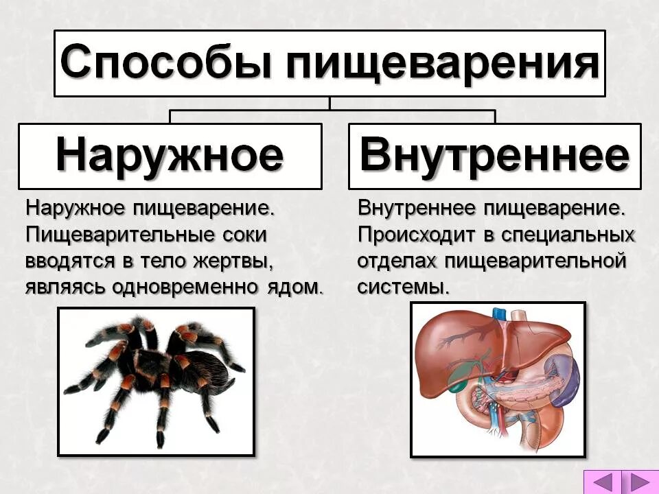 Отличается внешний внутреннего
