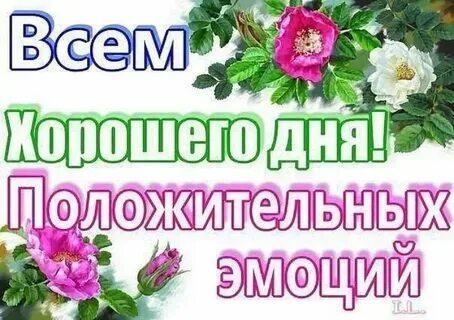 Добрый день уважаемые люди