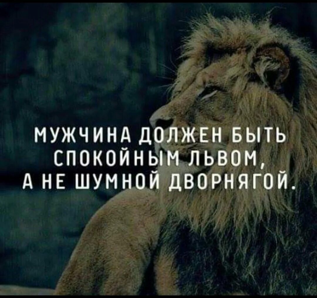 Будь спокойна и сильна. Мужчина должен быть спокойным львом. Мужчин должен быть спокойным львом а не шумной. Быть спокойным в любой ситуации. Надо быть спокойным.