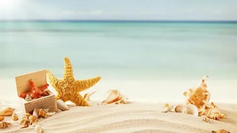 Seaside holiday
