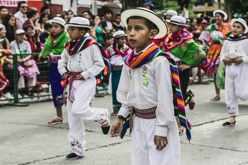 монгольская языковая. день родного языка. национальных языков а также. национальный язык немцев. иностранные языки.
