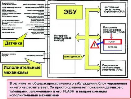 Устройство датчиков электронных систем