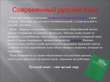 Новые слова современного общества