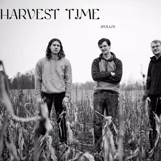 Harvest time around the