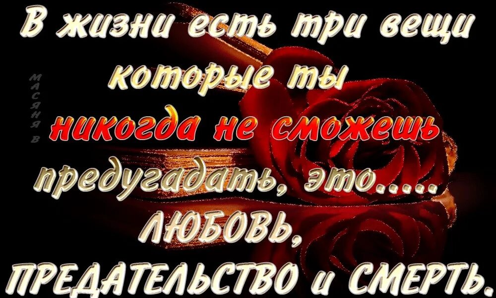 Любовь предателя читать. Предательство в любви. предатель любви. преданная любовь. предать любовь.