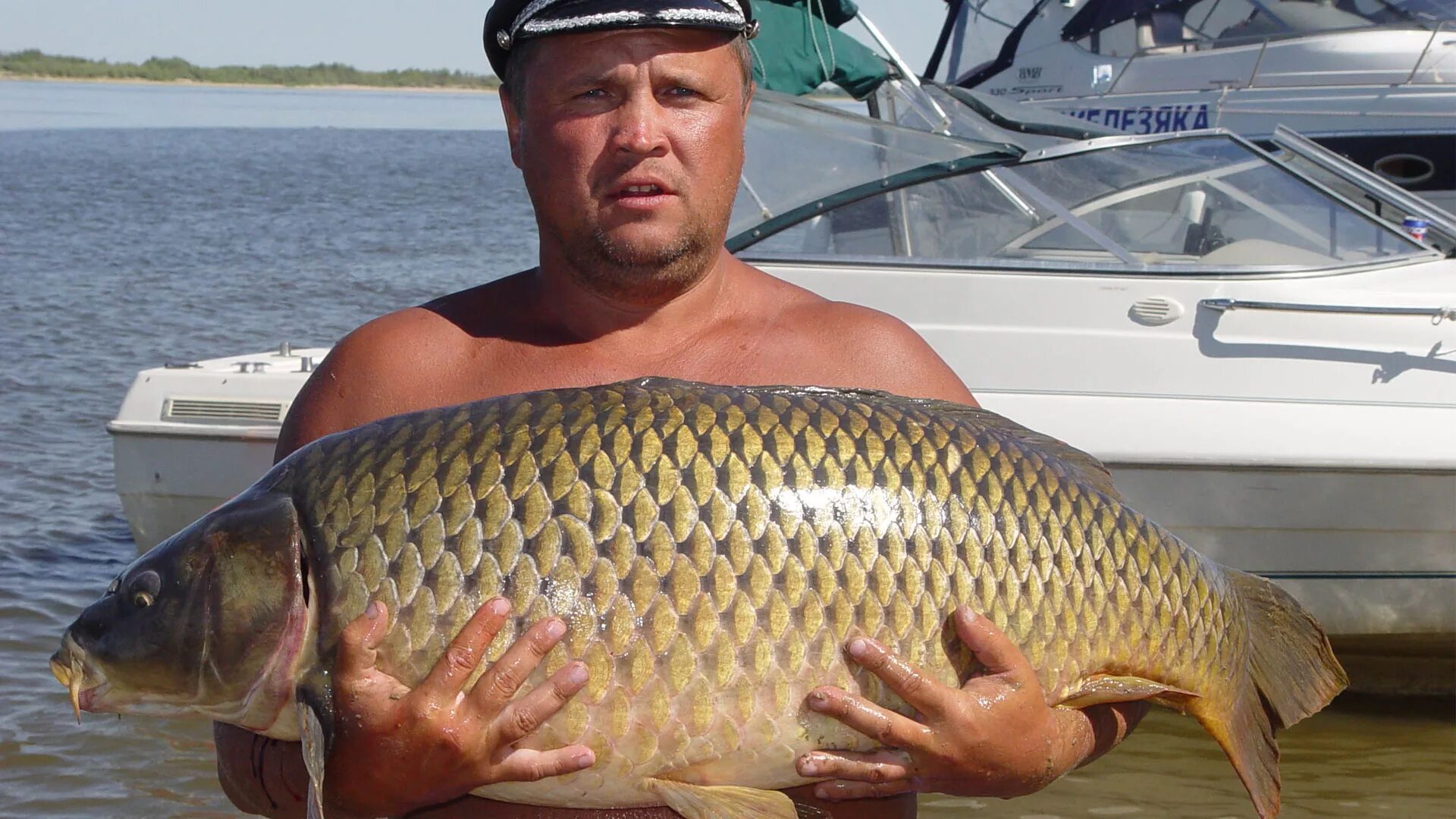 Сазан (Cyprinus Carpio). Сазан 22 кг. Рыбы и рыбалка. Рыбалка на сазана. Мужик поймал рыбу