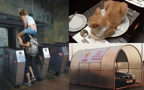 Поступил совершенно правильно