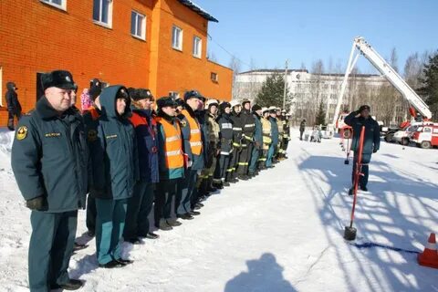 Новости птз