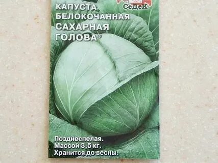 Капуста сахарная описание сорта фото отзывы