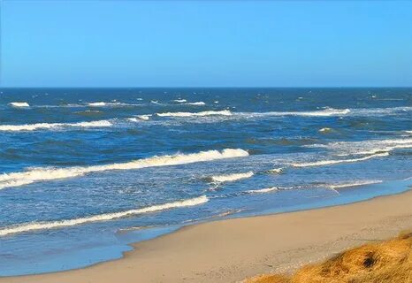 Вода море калининград