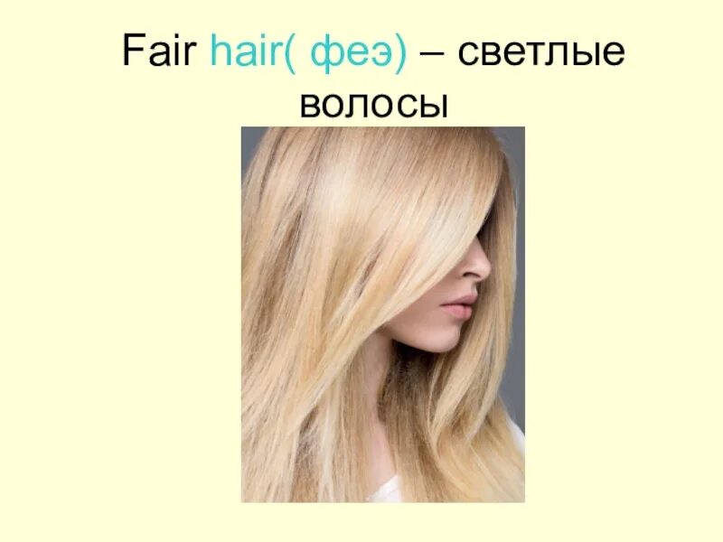 Светлые волосы картинка для детей. Fair hair причёски. Светлые волосы по-английски Fair hair. Fair hair картинка. Светлые волосы перевод на английский