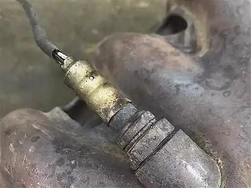 Лямбда зонд z16xer. Лямбда зонд опель зафира. Лямбда зонд z16xer. Лямбда зонд опель зафира. Лямбда зонд z16xer.