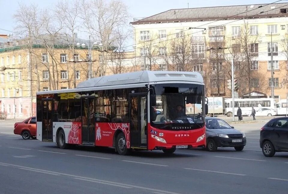 Бесплатные автобусы пермь. Пермский автобус 2021. Автобус 27 Пермь НЕФАЗ. Автобус НЕФАЗ Пермь. Новые городские автобусы.