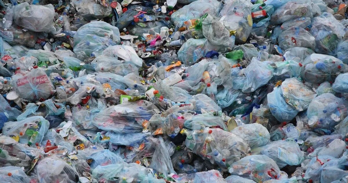 Plastic today. Вейнер пластик логотип. Пластиковые отходы. Plastic what is it. Plastic today.