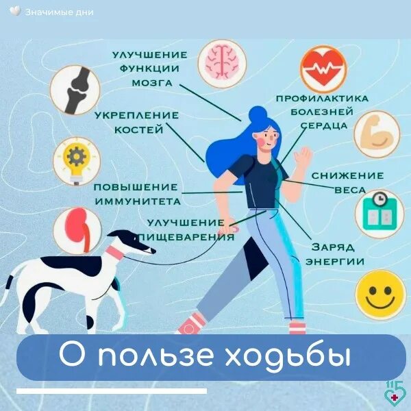 Чем заменить ходьбу в домашних условиях Упражнения для ног и ягодиц (часть 1) Кушай и худей Лучшие рецепты Фотострана По