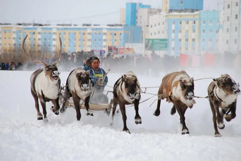 Ямал город надым. Надым прикол. Ямал город. Надым ямало-ненецкий автономный округ. Стелла надым.
