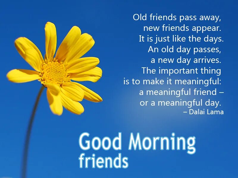 Wishes good morning friends. Good morning Wishes to friend. Ways to say good morning. Good morning messages.