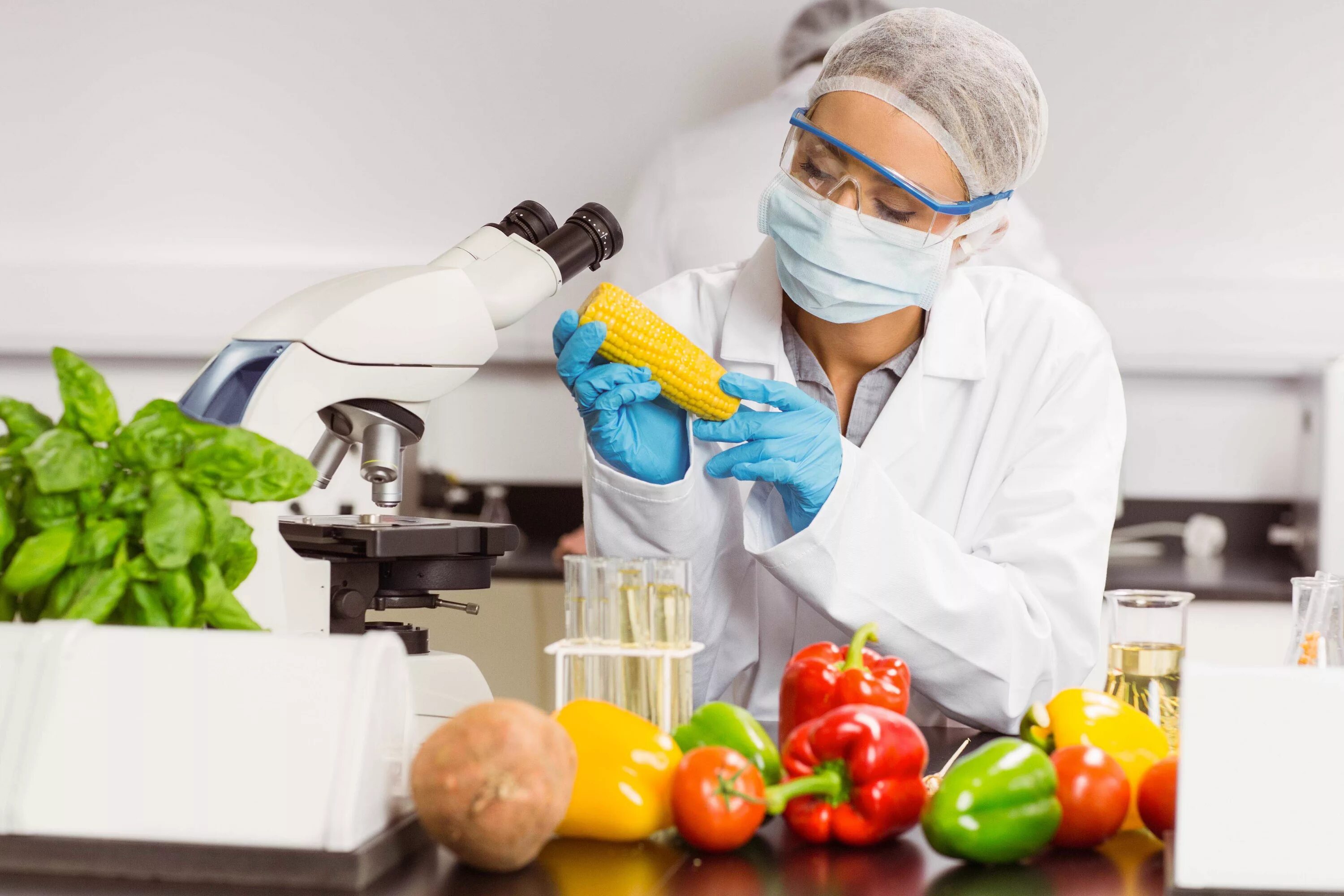 Безопасность пищевых продуктов. Качество продуктов питания. Качество и безопасность продукции. Биотехнология пищевых продуктов.