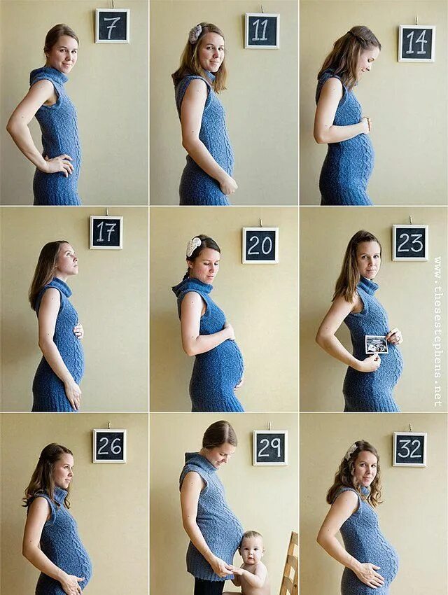 На какой неделе беременности растет живот. Фотосессия беременности по неделям. Фотосессия беременной по неделям. Фотосессия беременных по месяцам. Фотосессии беременных животиков по неделям.