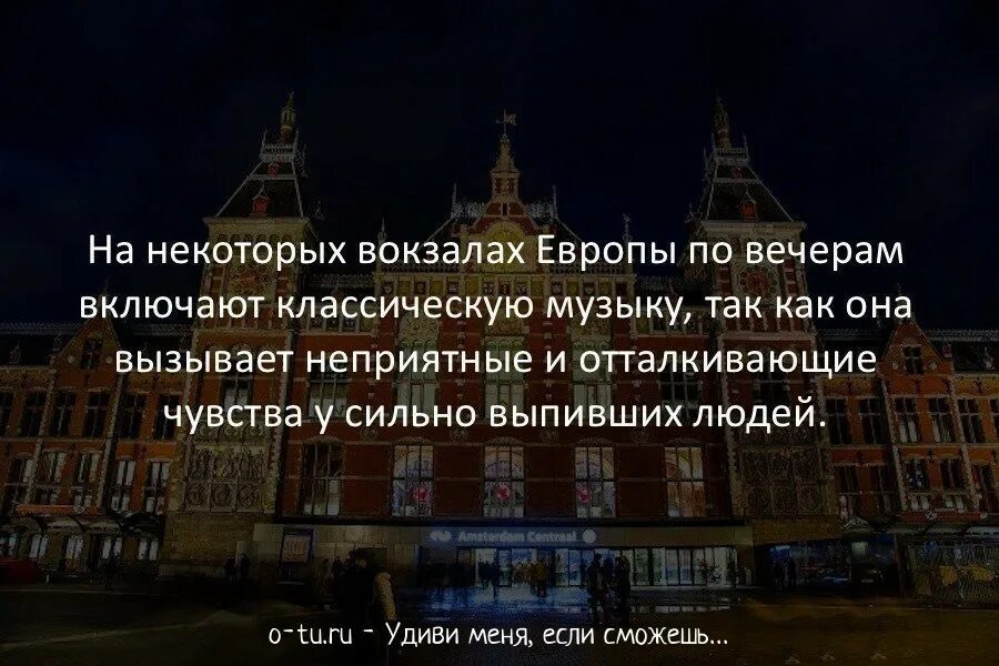 Вечер включай песню. Интересные факты. Интересные факты в мире. Факты картинка. Научные факты картинки.