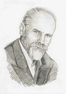 Стрелецкий н н