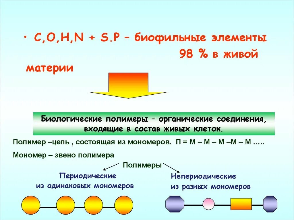 Расщепляет биополимеры до мономеров. Биофильные химические элементы. Органические вещества полимеры и мономеры. Полимеры и мономеры это в биологии. Органические вещества клетки полимеры и мономеры.