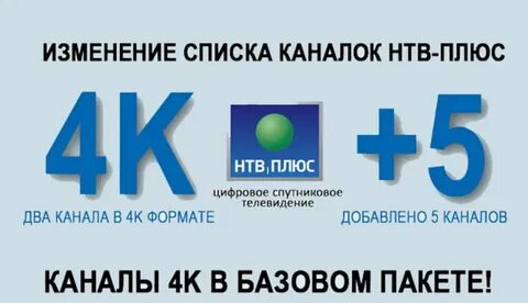 Всем плюс 4
