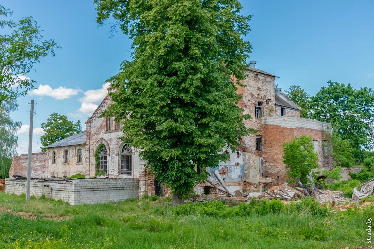 Village look. Усадьба Жилинских в Заволочицах. Деревня Дойничево Бобруйский район. Деревня Луки Гродненская область. Деревня Каменка Могилевская область Боб.